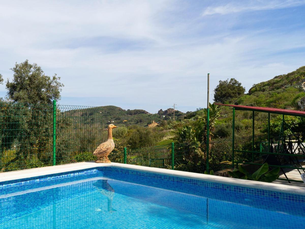 Live Finca El Gamonal Bajo Con Piscina Y Jardin En La Naturaleza Санта-Брихида